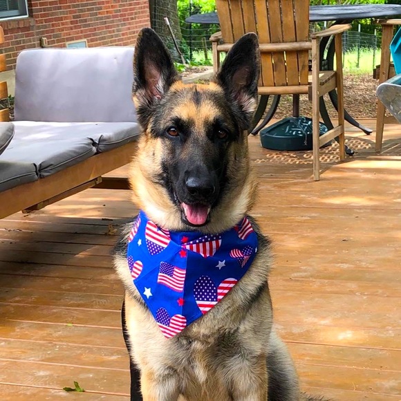 Meet your Posher, Christina! - Picture 1 of 1